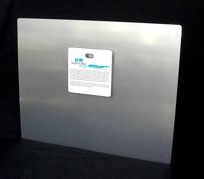 3 Loggerheads Aluminum Wall Art