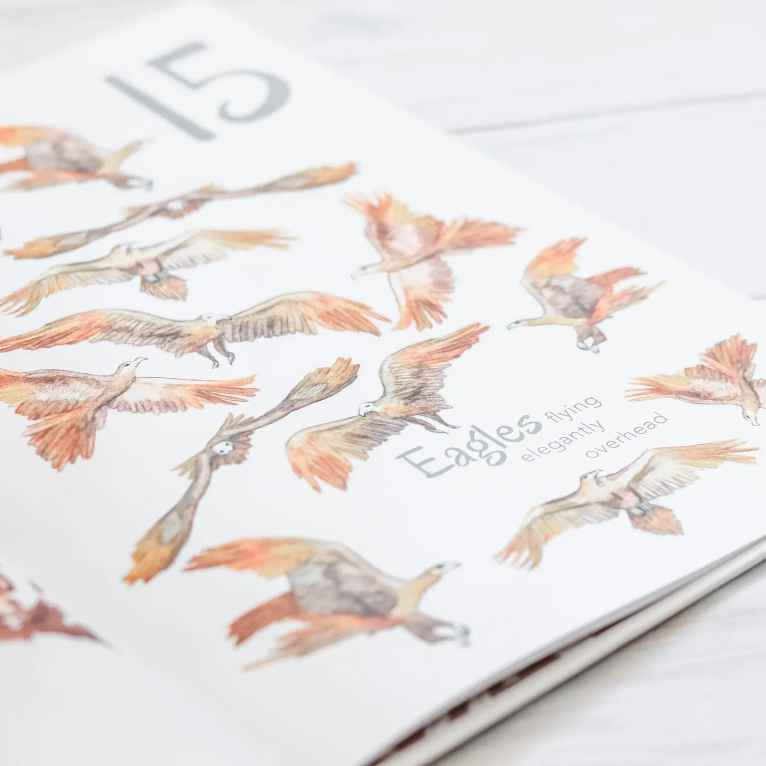 Adored Illustrations | The Incredible 123 Book