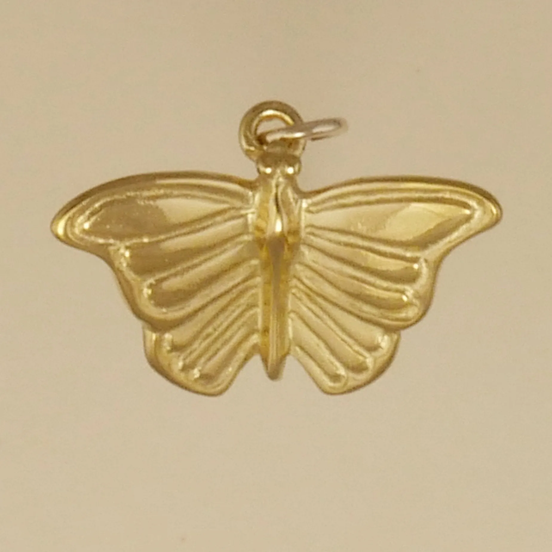 Butterfly Charm