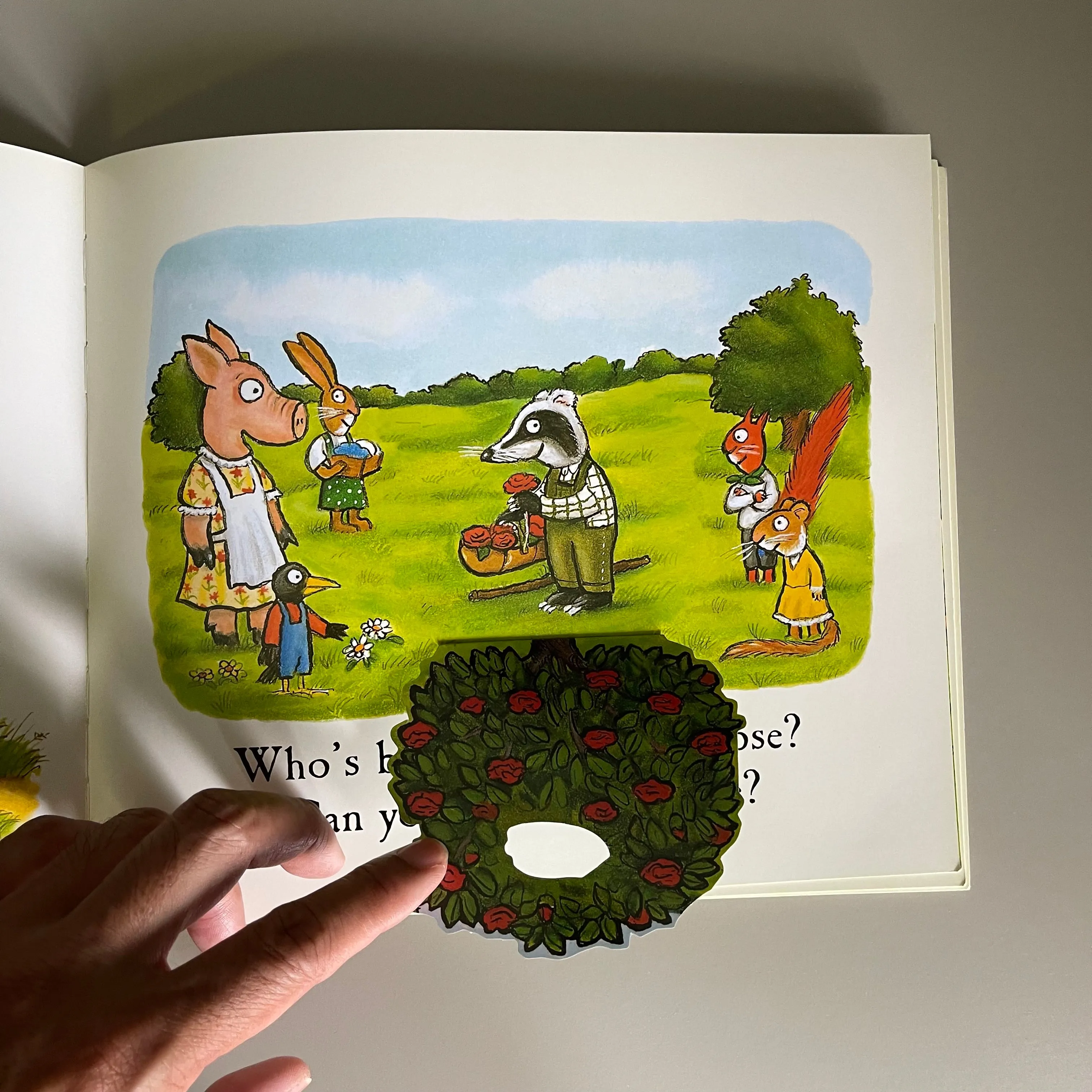 Hide-and-Seek Pig and Postman Bear / Julia Donaldson & Axel Scheffler