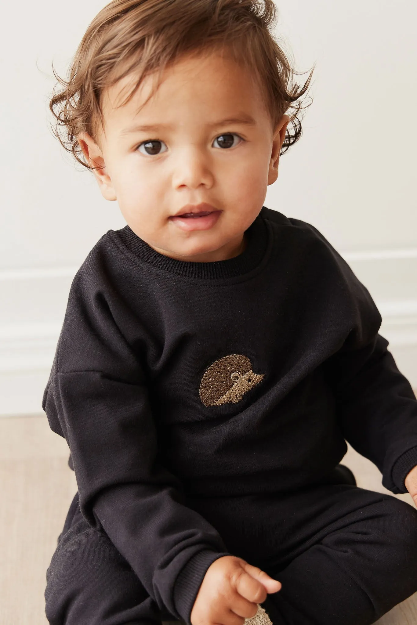 Organic Cotton Damien Sweatshirt - Constellation Hedgehog